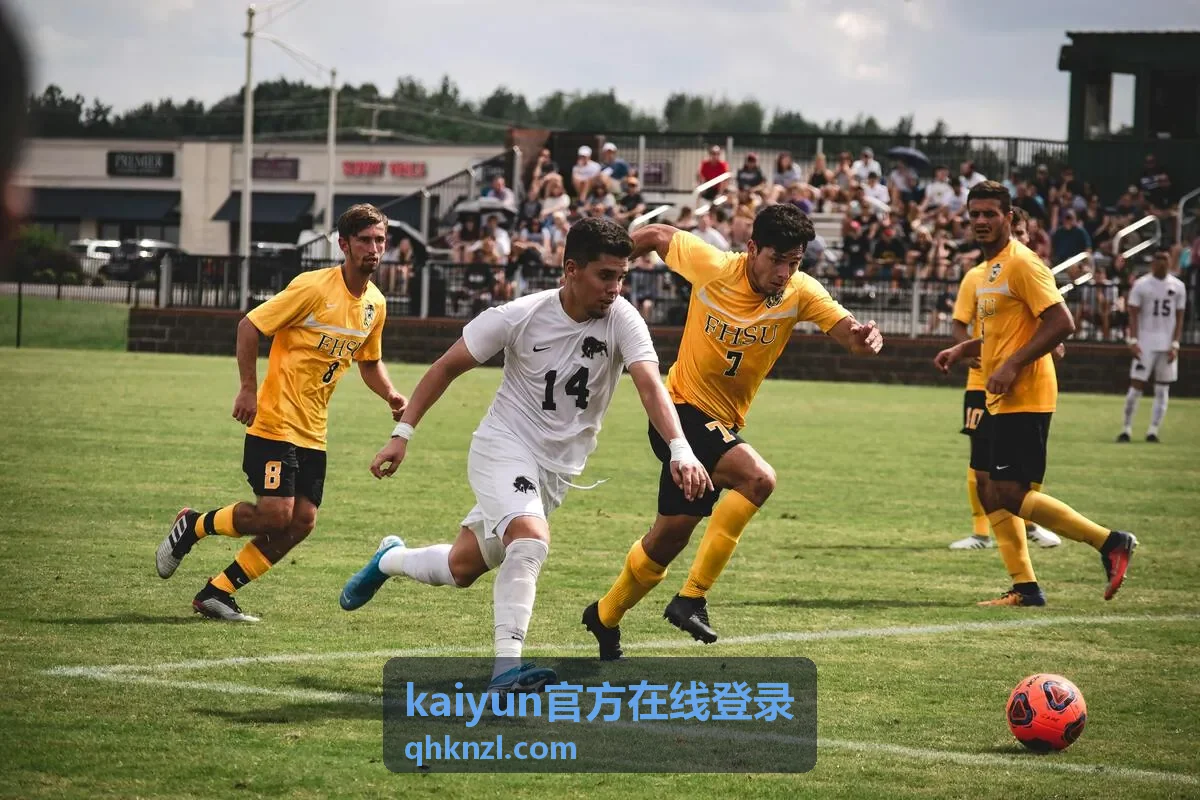 kaiyun官方在线登录 账号密码填写
