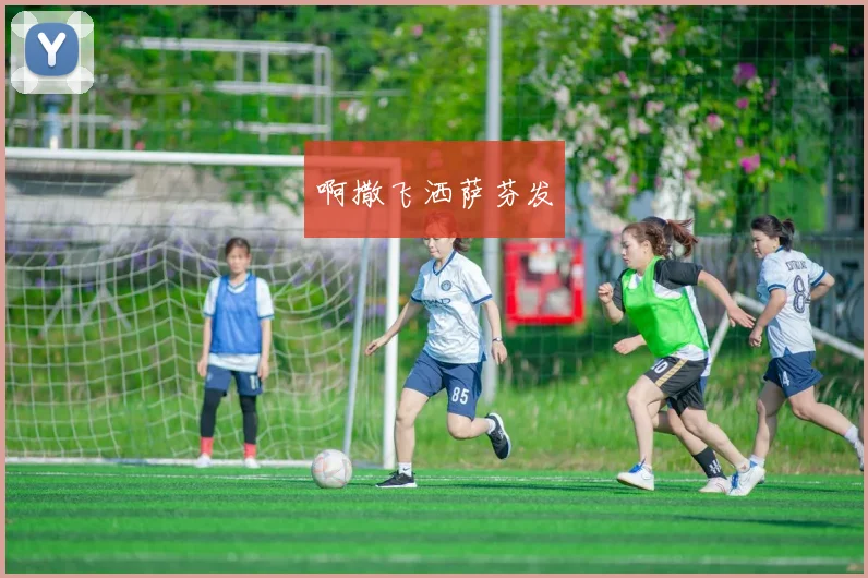 世界杯对阵情况公布 赛程安排引发球迷关注